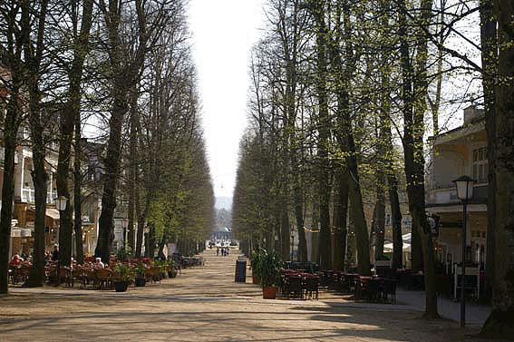 Hauptallee in Bad Pyrmont